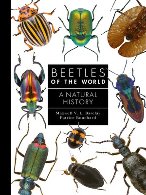 cover image of Beetles of the World
